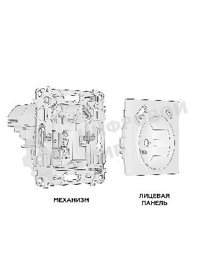 Комплект механизма электрической розетки ALFA Бежевый глянец 2USB A+C 20W (быстрая зарядка) с/з QUANT (AP3100, VM160) MA310010