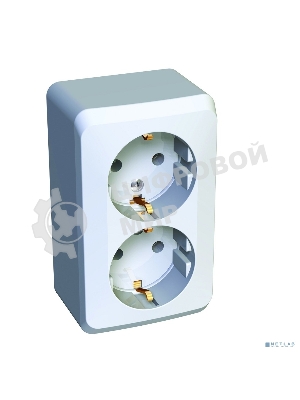 Розетка 2-м ОП Этюд 16А с заземл. белый SchE PA16-007B