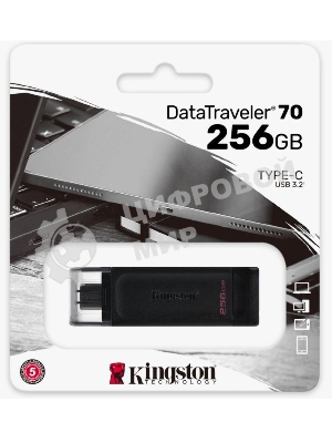 Флешка USB Kingston DataTraveler DT70 (DT70/256Gb), 256Gb, USB Type-C 3.2, R/W 70/45, черный