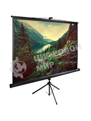 Экран Cactus 220x220 см TriExpert CS-PSTE-220х220-BK 1:1 напольный рулонный