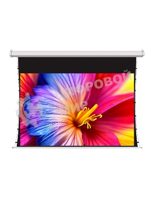 Экран для проектора S'OK SCPSMT-221x125FG-ED60 100 