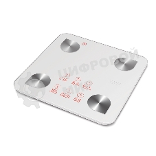 Напольные весы CASO BF 4