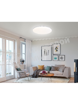 Светодиодный светильник RGB Ambrella light FZ418 WH белый IP20 66W 3000K-6500K+RGB D480*65 (ПДУ ИК)