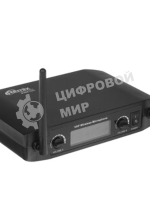 Микрофон Ritmix RWM-222 черный