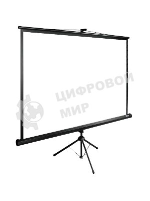 Экран Cactus 220x220 см TriExpert CS-PSTE-220х220-BK 1:1 напольный рулонный