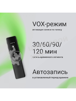 Диктофон Цифровой Digma DiVoice RV70 32Gb черный