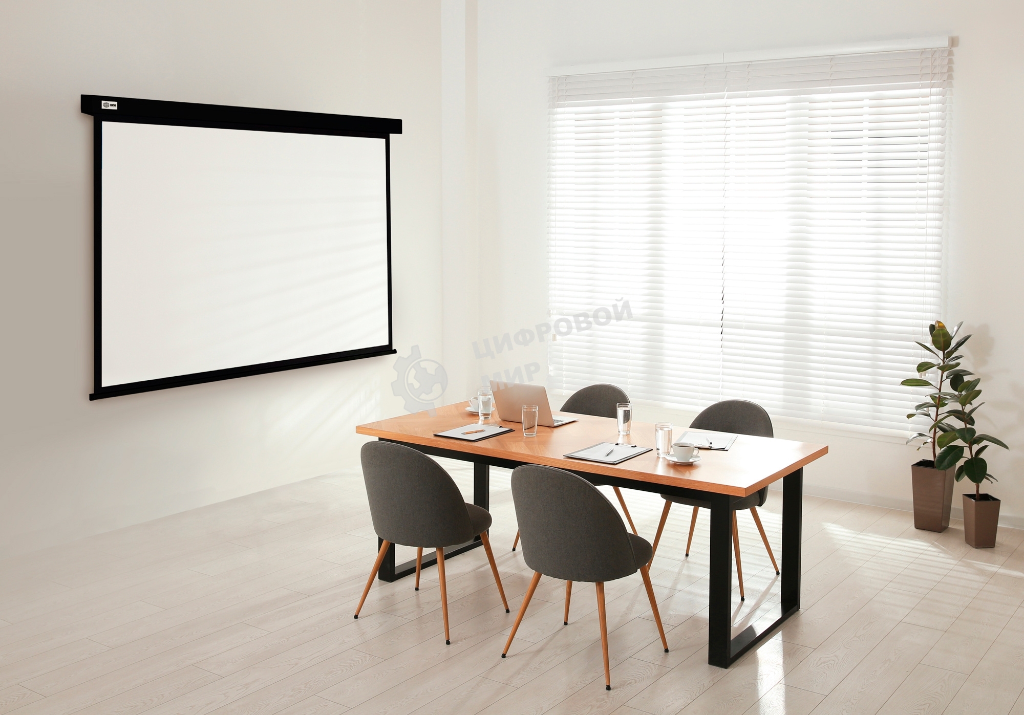 Экран Cactus 124.5x221 см Wallscreen CS-PSW-124X221-BK 16:9 настенно-потолочный рулонный черный