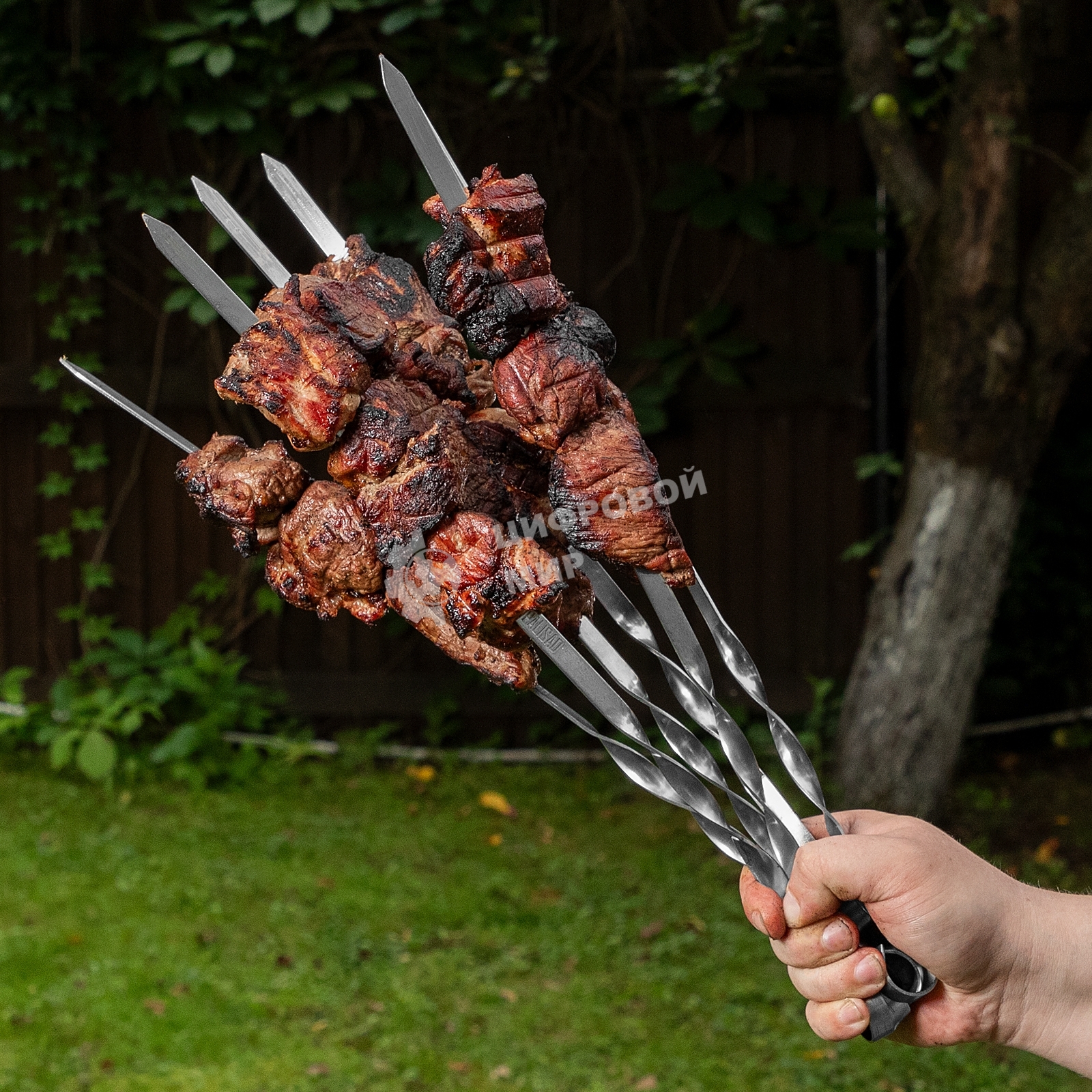 Шампуры с чехлом Camping Palisad 45 см (6 шт.)