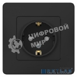 Розетка с/з С/У Антрацит со шторками, 16А, 250В BLNRS001116 Schneider Electric