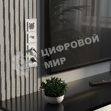 Розетка с заземлением, шторками и USBх2 (белый матовый)