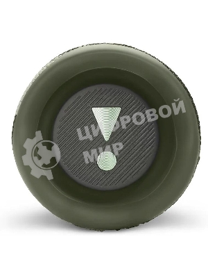 Портативная акустика JBL Flip 6, камуфляж