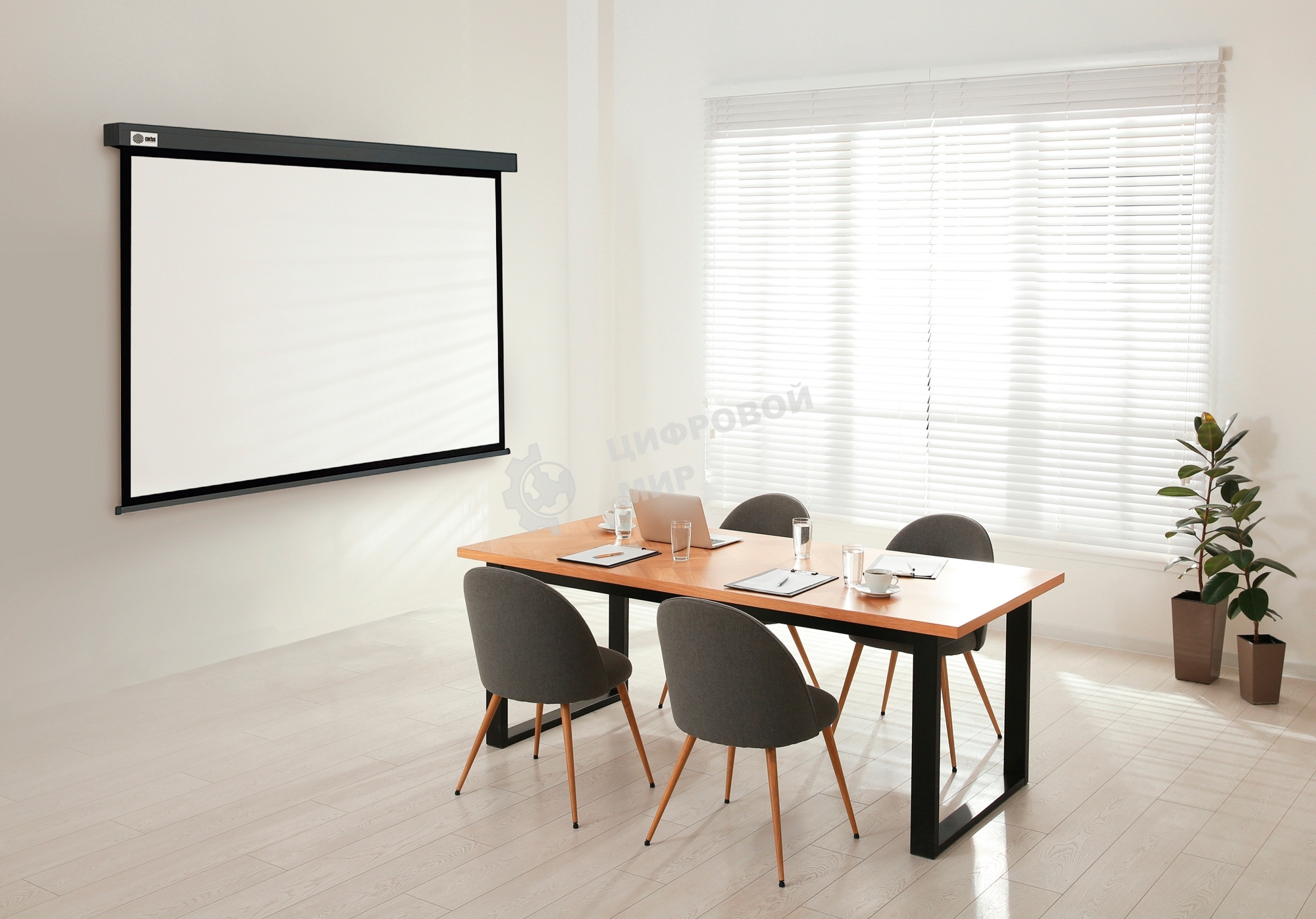 Экран Cactus 187x332см Wallscreen CS-PSW-187X332-SG 16:9 настенно-потолочный рулонный серый