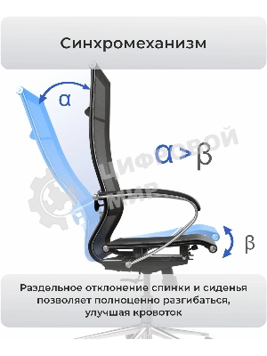 Кресло компьютерное ErgoLife Set 4/подл.131/осн.Synchro 052, черный 212.16.1.403 z316738977