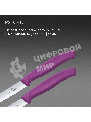 Набор ножей Victorinox Swiss Classic 6.7835.2C1 компл.: 2предм. фиолетовый европодвес