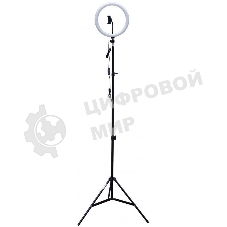 Штатив Rekam RL-20 LED Kit напольный черный