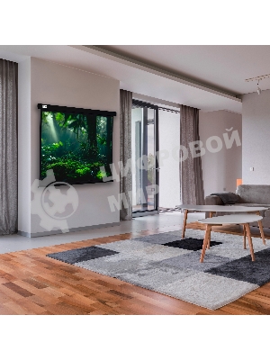 Экран Cactus 213x213см Wallscreen CS-PSW-213X213-BK 1:1 настенно-потолочный рулонный черный