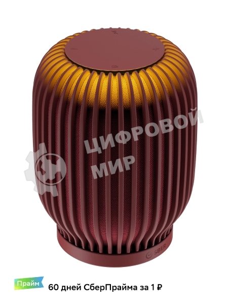 Умная колонка SBER SberBoom SBDV-00090, терракотовый