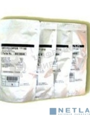 Девелопер DEVELOPER черный