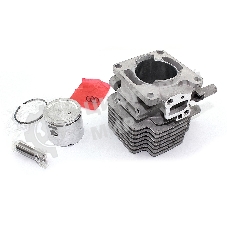 Поршневая группа для Hitachi CG27EAS 110121