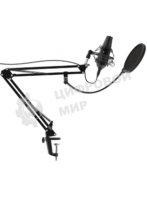 Микрофон Ritmix RDM-180 черный