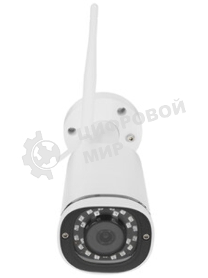 Видеокамера IP Trassir TR-D2121IR3 3.6-3.6мм цветная