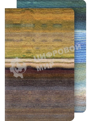 Блокнот Moleskine LIMITED EDITION CAHIER MUSEE D`ORSAY SKCAHL6911S3NL Large 130х210мм обложка картон 120стр. нелинованный мягкая обложка синий/коричневый (2шт)