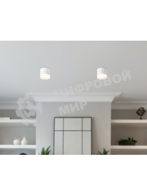 Светильник Ambrella light TN5365 WH белый GX53 D82*70