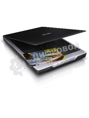 Сканер Epson Perfection V19, планшетный, A4, CIS, 4800x4800 dpi, USB 2.0