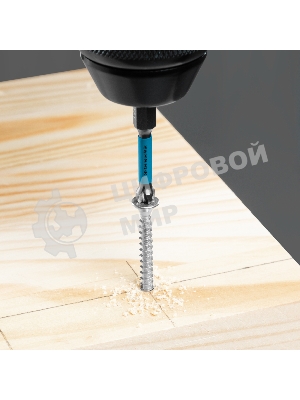 Набор бит торсионных Gross PH2x50 мм, для ударных шуруповертов, 2 шт.