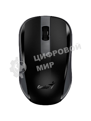 Мышь беспроводная Genius NX-8008S черный, 1200 dpi, радиоканал, USB, кнопки - 3