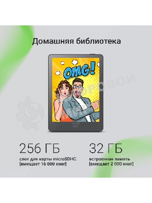 Электронная книга Digma P6 6