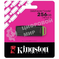 Флеш Диск Kingston 256GB DataTraveler Exodia DTXG2/256GB USB3.0 черный/салатовый