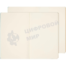 Блокнот Moleskine LIMITED EDITION CAHIER MUSEE D`ORSAY SKCAHL6911S3NL Large 130х210мм обложка картон 120стр. нелинованный мягкая обложка синий/коричневый (2шт)