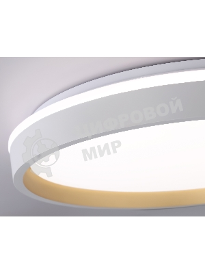 Светодиодный светильник RGB Ambrella light FZ607 WH/GD белый/золото IP20 66W 3000K-6500K+RGB D490*85 (ПДУ ИК)