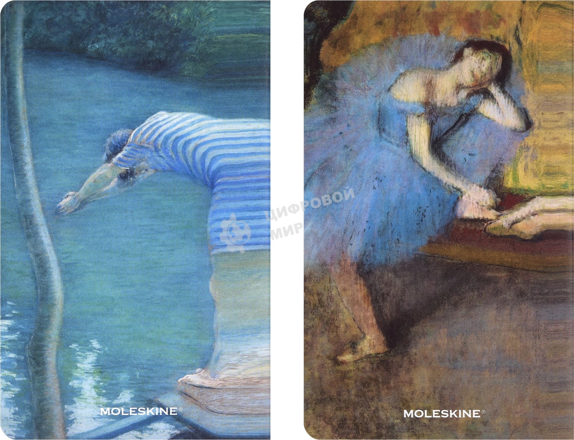 Блокнот Moleskine LIMITED EDITION CAHIER MUSEE D`ORSAY SKCAHL6911S3NL Large 130х210мм обложка картон 120стр. нелинованный мягкая обложка синий/коричневый (2шт)