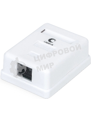 Розетка в сборе Cabeus, 1x RJ45(8P8C), кат. 6, неэкр., внешняя, белый, (WS-8P8C-Cat.6-1)