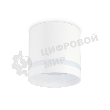 Светильник Ambrella light TN5371 WH белый GX53 D82*80