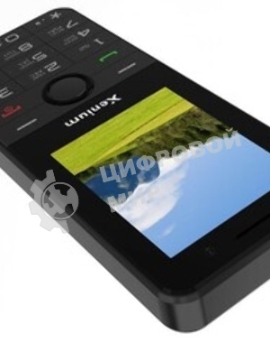 Мобильный телефон Xenium X900 черный