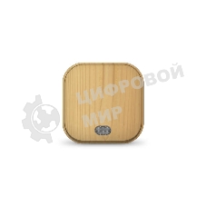 Выключатель 1-кл. 1п ОП 10А IP20 с подсветкой сосна IONICH 1435