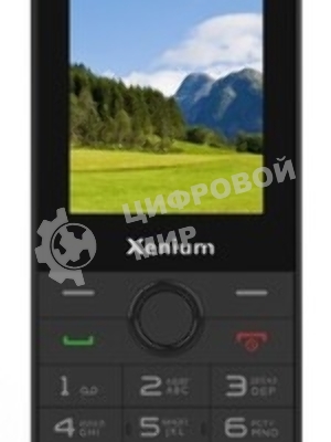 Мобильный телефон Xenium X900 черный