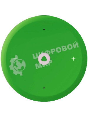 Умная колонка Яндекс Станция Лайт 2 LED, 6Вт, с экраном, 1 динамик, часы, Алиса, BT5.0, Wi-Fi, зеленый