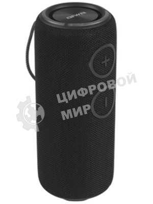 Колонка беспроводная AIWA PAS-H300 черный