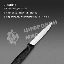 Нож Victorinox для очистки овощей, лезвие 8 см, серрейторная заточка