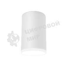 Светильник Ambrella light TN336 SWH белый песок GU5.3 D65*100
