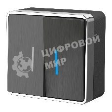 Выключатель двухклавишный с подсветкой Gallant (графит рифленый) W5020104
