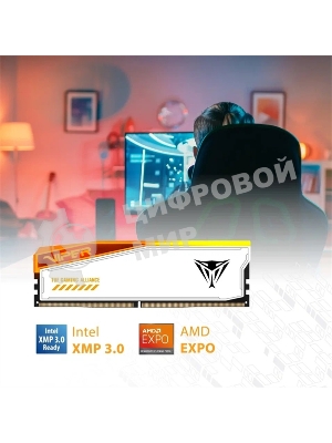 Оперативная память Patriot Viper Elite 5 TUF Gaming, DDR5, 32Gb (2x16 GB), 6000 MHz, CL36, DIMM, радиатор, RGB, белый