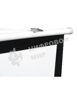 Экран 221x124.5см TriScreen 16:9 напольный рулонный белый100' Matt White (MW)
