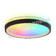 Светодиодный светильник RGB Ambrella light FZ610 BK/GD черный/золото IP20 66W 3000K-6500K+RGB D490*85 (ПДУ ИК)