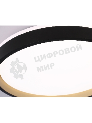Светодиодный светильник RGB Ambrella light FZ610 BK/GD черный/золото IP20 66W 3000K-6500K+RGB D490*85 (ПДУ ИК)