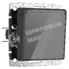 Розетка влагозащ. с зазем. с защит. крышкой и шторками (графит акрил)